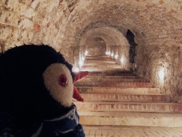 Red Stone Castle in Slovakia: What to See Inside