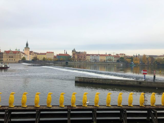 Kampa Park Penguins: A Must-See Art Installation in Prague