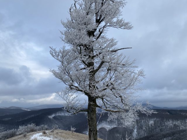 Čermák and Skalnatá Hike