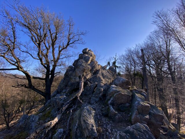 Elves in the Little Carpathians in Slovakia
