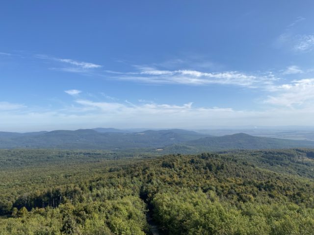 Great Homola Lookout Tower