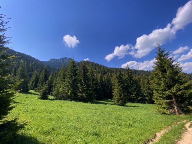 Jánošík’s Upper Holes: A Gorge Hike in Malá Fatra National Park