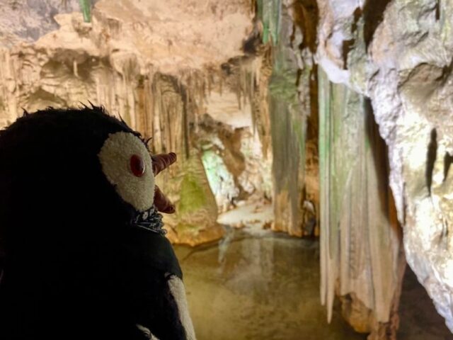 Neptune’s Grotto, Alghero: How to Visit Sardinia’s Most Stunning Sea Cave