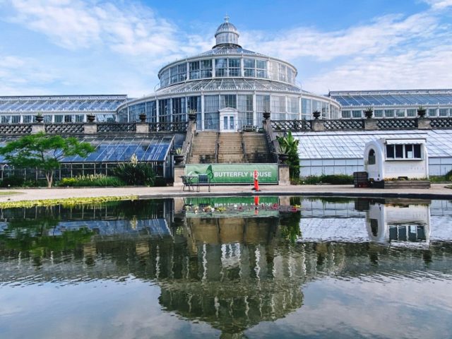 Visiting the Copenhagen Botanical Garden