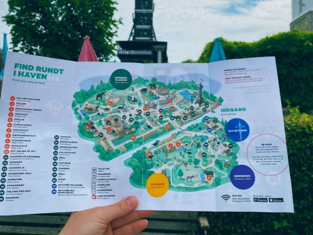 Visiting Copenhagen Zoo: Complete Guide & Travel Tips