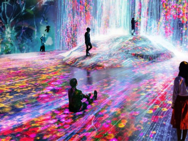 Step Inside teamLab Borderless Tokyo: A Digital Art Wonderland