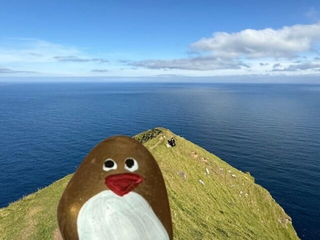 #504 – Cliff, Gjógv, Faroe Islands