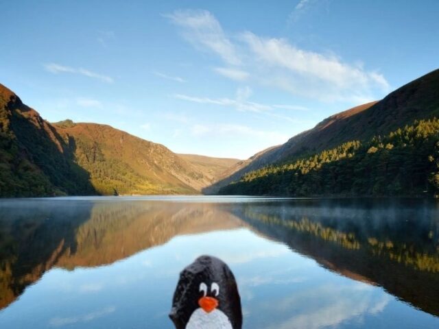 #222 – Glendalough, Knockfadda, Ireland