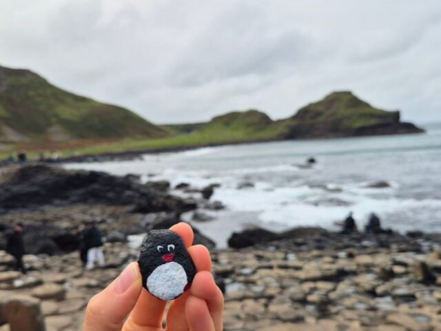 #318 – Giant’s Causeway, County Antrim, Northern Ireland