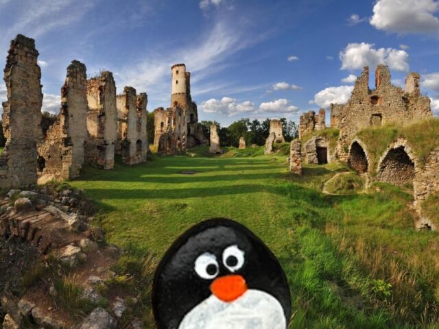 #660 – Castle ruins Zvířetice,  Bakov nad Jizerou, Czechia