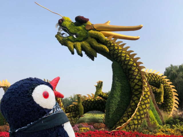 Exploring Beihai Park in Beijing