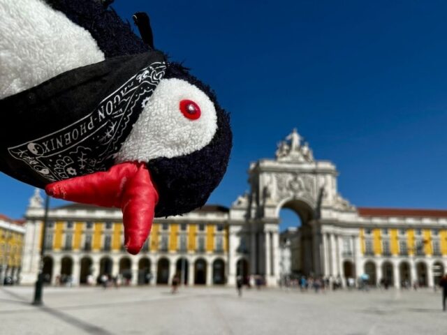 Lisbon Travel Tips: What to Know Before You Go