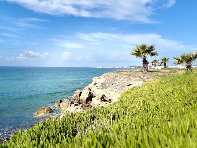 Things to Do in Paphos: Complete Guide