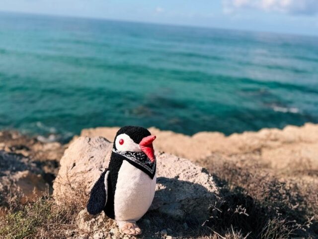 3 Days in Paphos, Cyprus: The Perfect Itinerary 