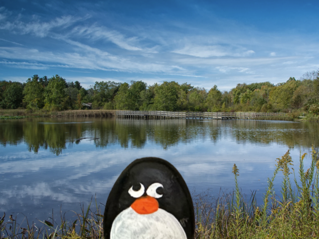 #623 – Trexler Nature Preserve, Pennsylvania, USA