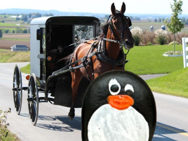 #651 – Bird in Hand Farm Supply, Amish county, Pennsylvania, USA