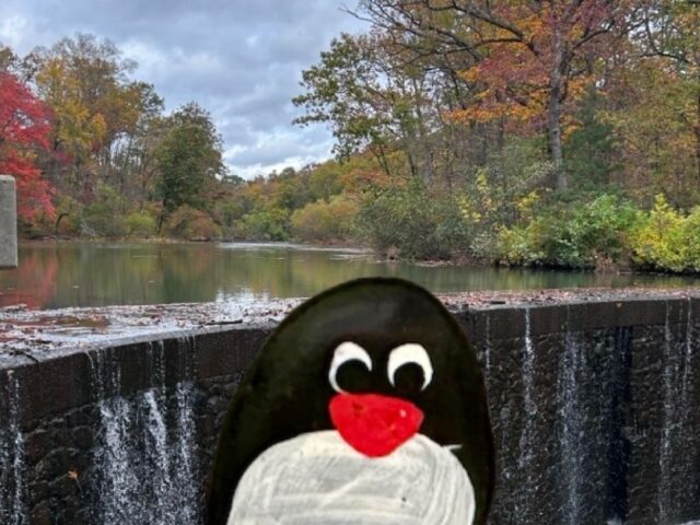 #680- Seeley’s Waterfall, New Jersey, USA 