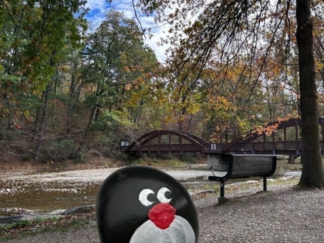 #698 – Jordan Creek, Trexler Nature Preserve, Pennsylvania, USA