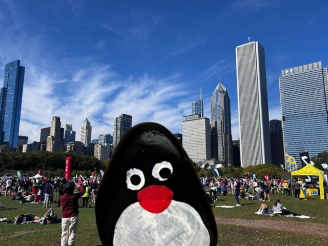 #702 – Butler Field, Chicago Illinois, USA