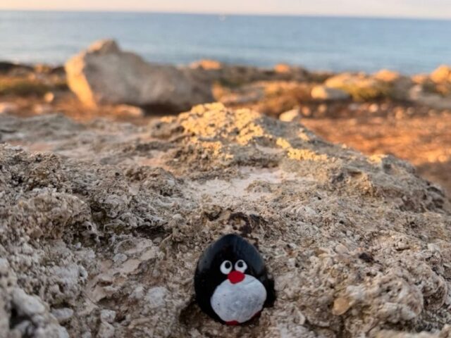 #714 – Seaside, Paphos, Cyprus