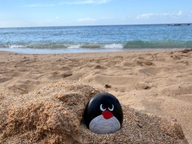 #715 – SODAP Beach, Paphos, Cyprus 