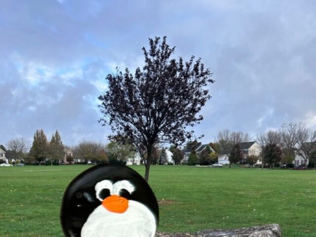 #783 – Farmington Hills Park, Macungie, Pennsylvania, USA