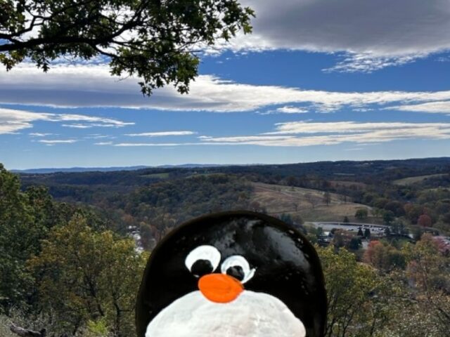 #789 – Elk Ridge Trail, Trexler Nature Preserve, Pennsylvania, USA