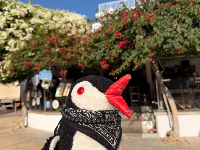 Best Restaurants in Paphos, Cyprus: Our Penguin’s Culinary Journey