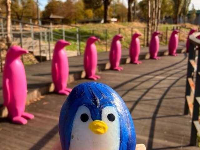 #1382 – Pink Penguins, Seoul, South Korea