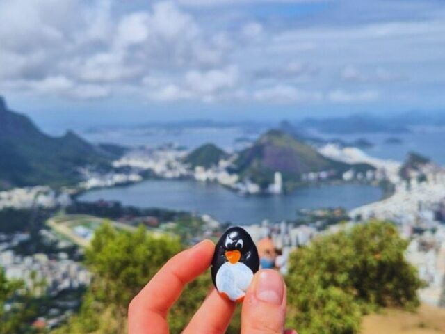 #336 – Morro dos Irmãos, Rio de Janeiro, Brazil
