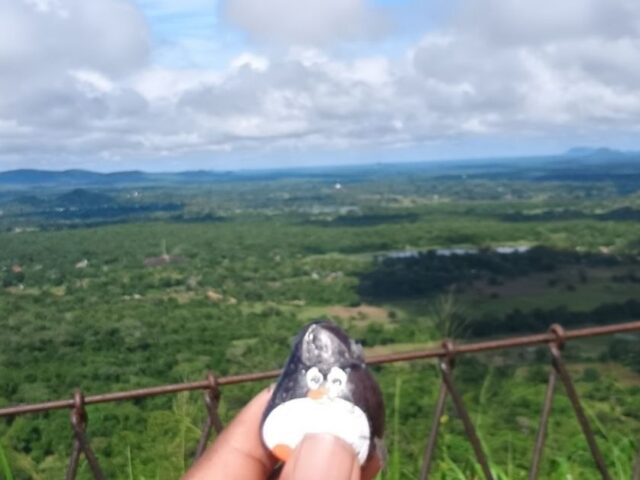 #481 – Rock Fortress, Sigiriya, Sri Lanka