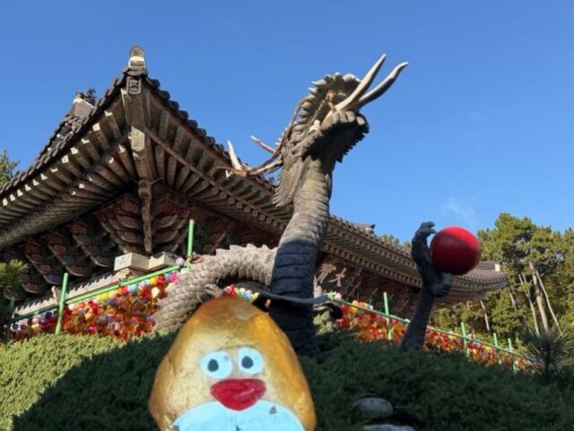 #509 – Stone Dragon at Haedong Yonggungsa Temple, Busan, South Korea