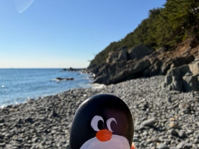 #771 – Pebble Beach, Busan, South Korea