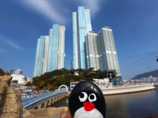 #713 – Turtle Island, Busan, South Korea