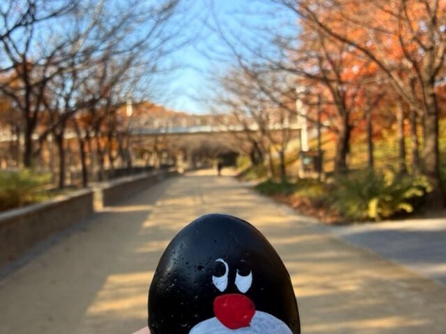 #716 – Deer Enclosure, Seoul, South Korea