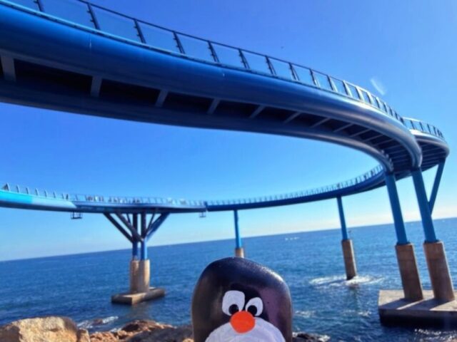 #746 – Cheongsapo Daritdol Skywalk, Busan, South Korea