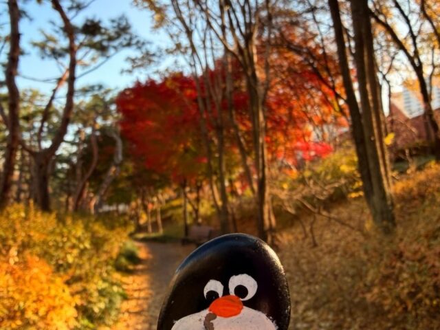 #747 – Hongdae, Seoul, South Korea