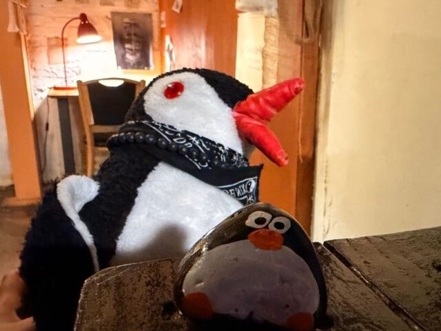 #748 – Penguin Amateur Company Cafe, Seoul, South Korea