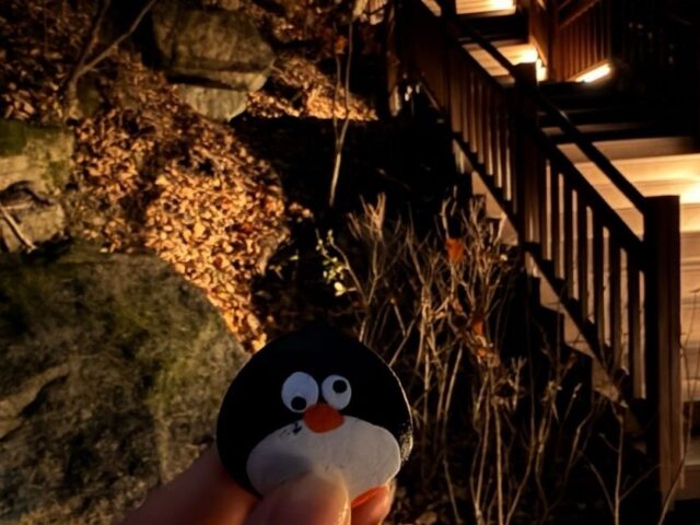 #781 – Namsan Northern Forest Trail, Seoul, South Korea