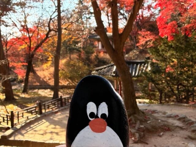 #788 – Tree at the Secret Garden, Seoul, South Korea
