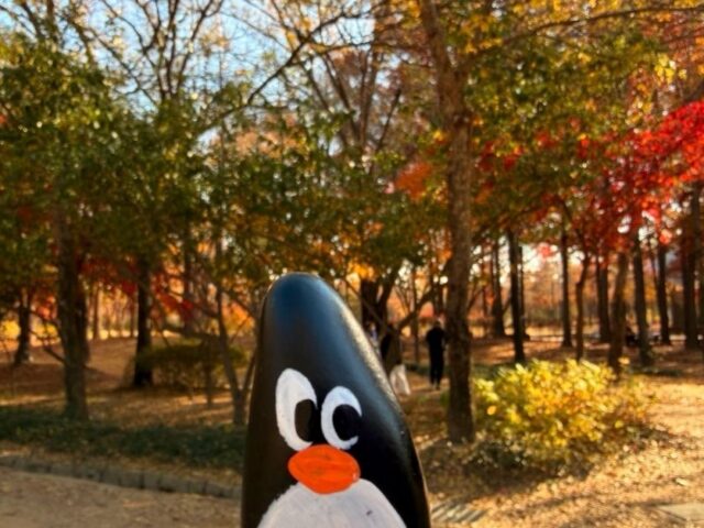 #792 – Seoul Forest, Seoul, South Korea
