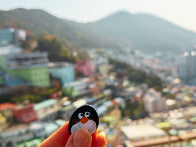 #796 – Book Alley at Gamcheon Culture Village, Busan, South Korea