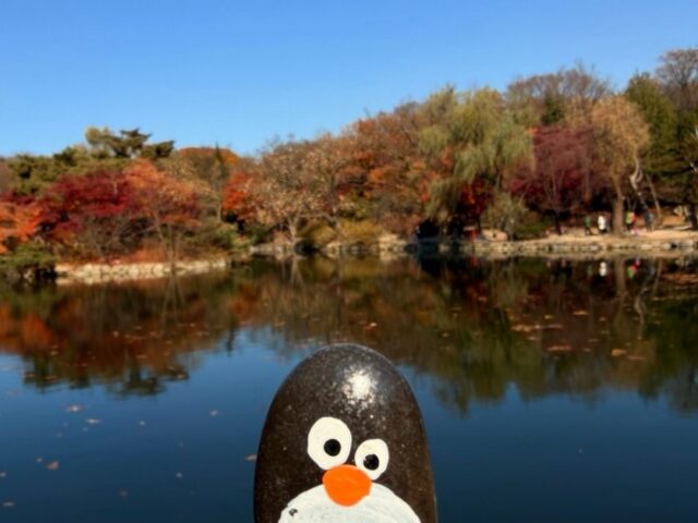 #833 – Pond in Changgyeonggung Palace, Seoul, South Korea