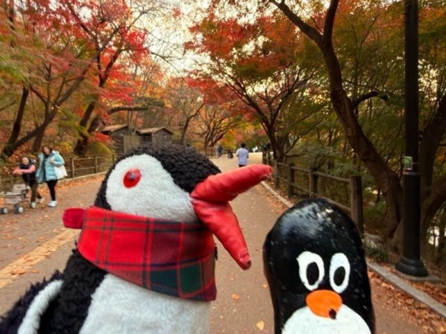 #791 – Namsan Dulle-gil Trail, Seoul, South Korea