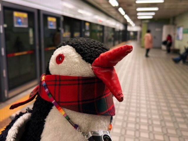 How to Get Around Seoul: Complete Public Transport Guide