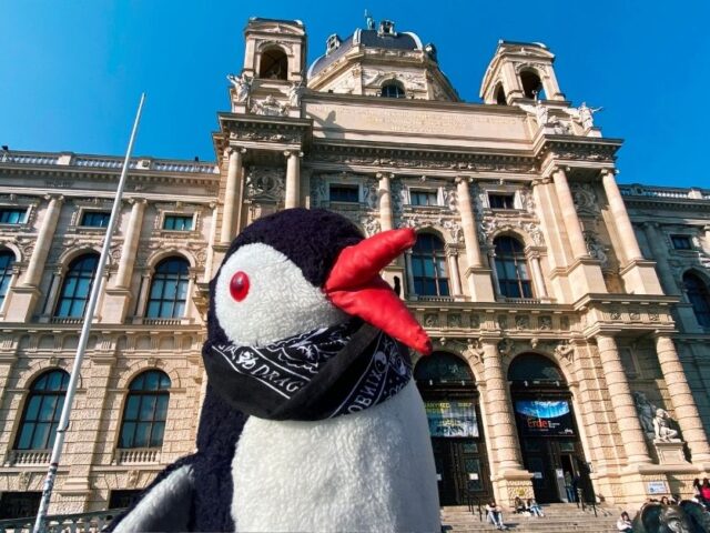 What to See at Vienna’s Natural History Museum: Full Visitor Guide