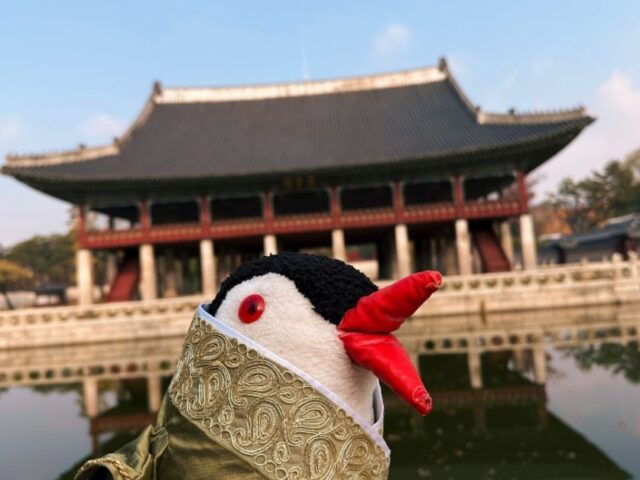 Waddling Around Gyeongbokgung Palace in Seoul