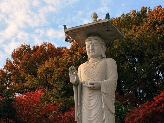 Bongeunsa Temple Seoul Guide for Travelers