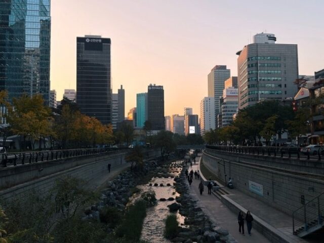 Waddling Along Cheonggyecheon Stream