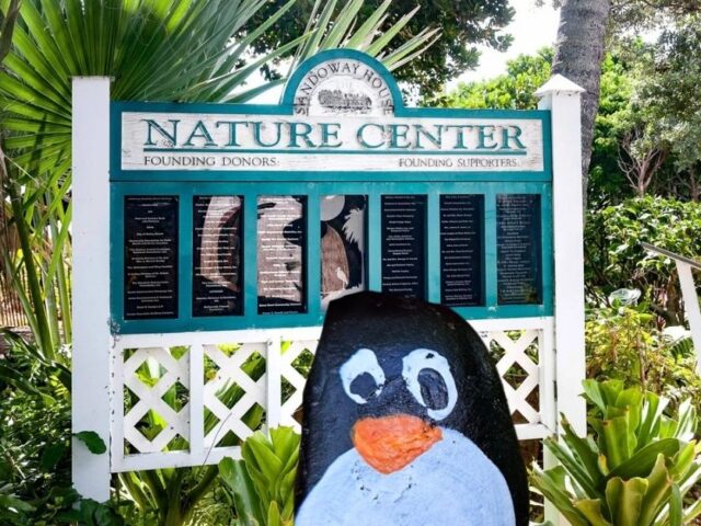 #358 – Sandoway Discovery Center, Florida, U.S.A.